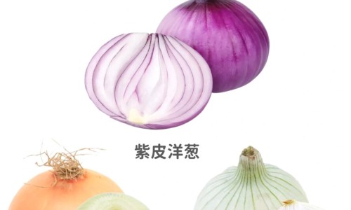 西马肉毒瘦腿效果-专业西马肉毒在中国上市了吗平台-西马肉毒是哪里生产的